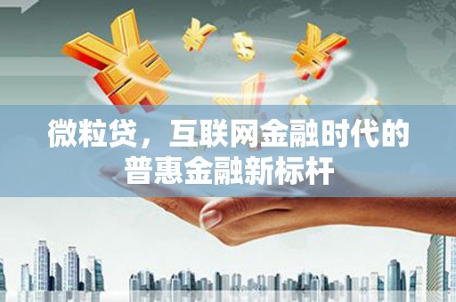 临翔微粒贷，互联网金融时代的普惠金融新标杆