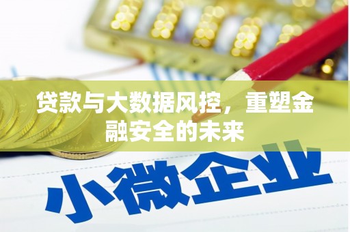临翔贷款与大数据风控，重塑金融安全的未来