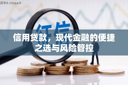 临翔信用贷款，现代金融的便捷之选与风险管控