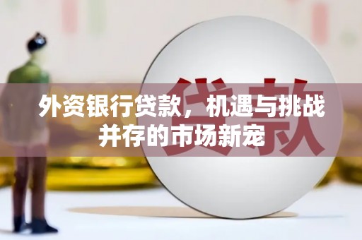 临翔外资银行贷款，机遇与挑战并存的市场新宠