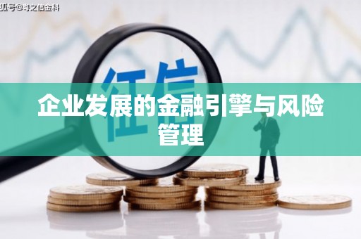 临翔企业发展的金融引擎与风险管理