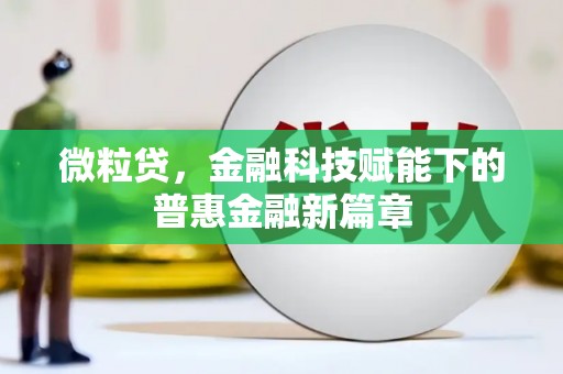 临翔微粒贷，金融科技赋能下的普惠金融新篇章