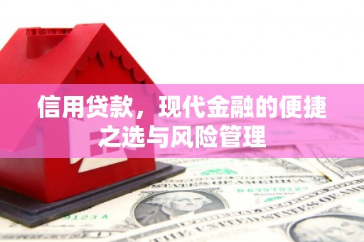临翔信用贷款，现代金融的便捷之选与风险管理
