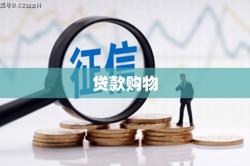 临翔贷款购物
