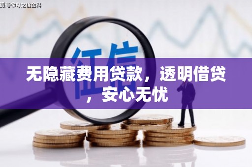 临翔无隐藏费用贷款，透明借贷，安心无忧