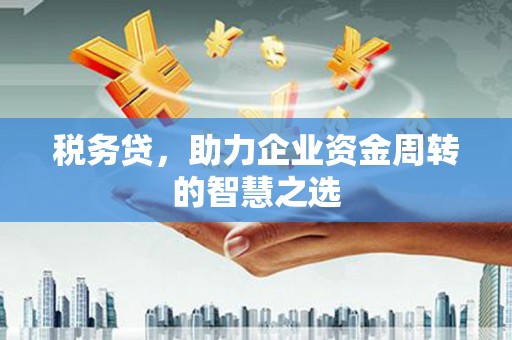 临翔税务贷，助力企业资金周转的智慧之选