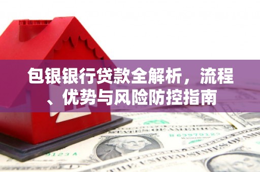 临翔包银银行贷款全解析，流程、优势与风险防控指南
