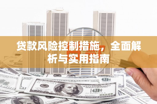 临翔贷款风险控制措施，全面解析与实用指南