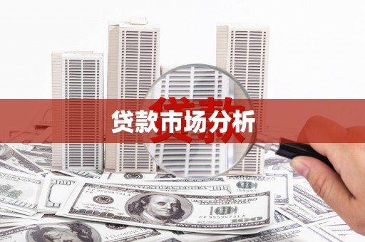 临翔贷款市场分析