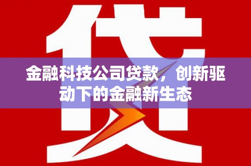 临翔金融科技公司贷款，创新驱动下的金融新生态