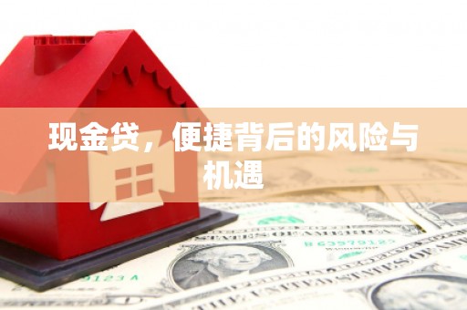 临翔现金贷，便捷背后的风险与机遇
