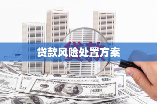 临翔贷款风险处置方案