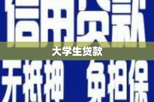 临翔大学生贷款