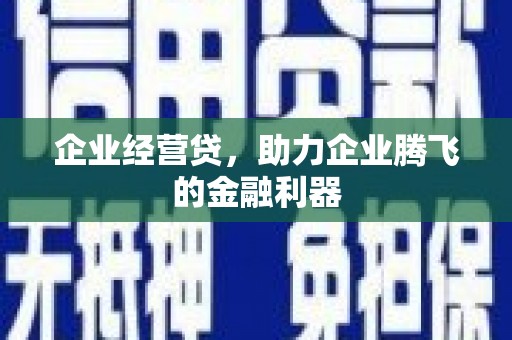 临翔企业经营贷，助力企业腾飞的金融利器