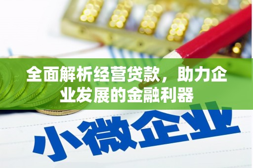 临翔全面解析经营贷款，助力企业发展的金融利器