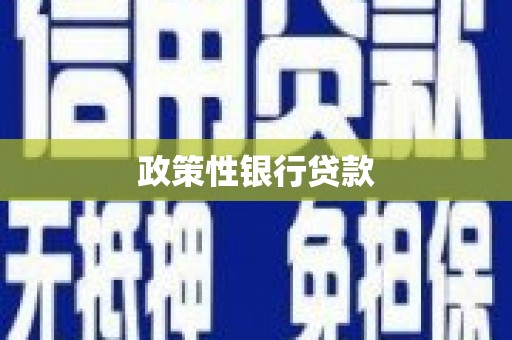 临翔政策性银行贷款