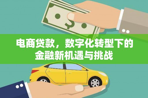 临翔电商贷款，数字化转型下的金融新机遇与挑战