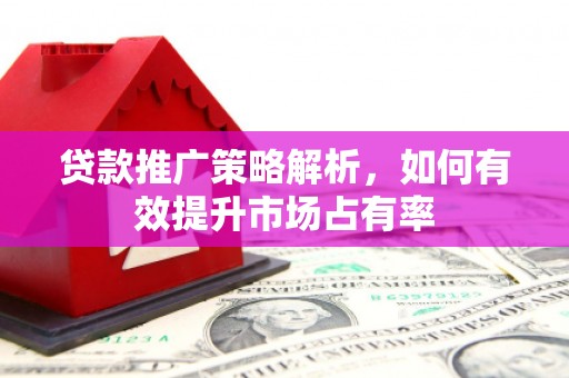 临翔贷款推广策略解析，如何有效提升市场占有率