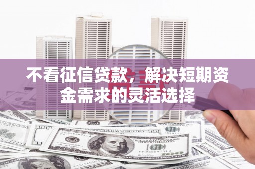 临翔不看征信贷款，解决短期资金需求的灵活选择