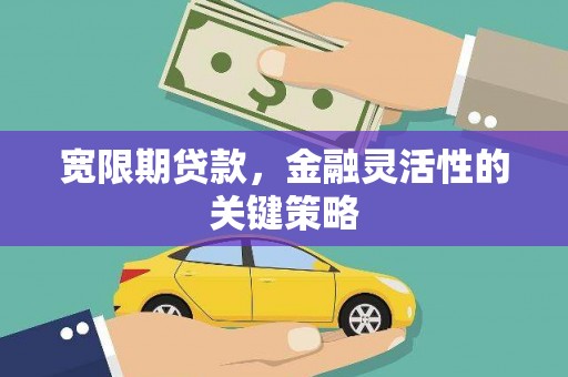 临翔宽限期贷款，金融灵活性的关键策略