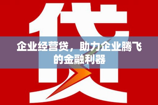 临翔企业经营贷，助力企业腾飞的金融利器