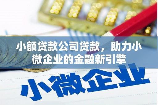 临翔小额贷款公司贷款，助力小微企业的金融新引擎