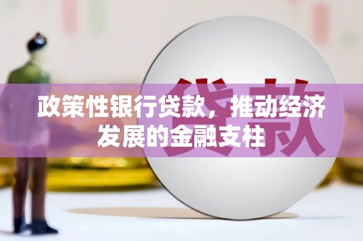 临翔政策性银行贷款，推动经济发展的金融支柱