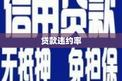 临翔贷款违约率