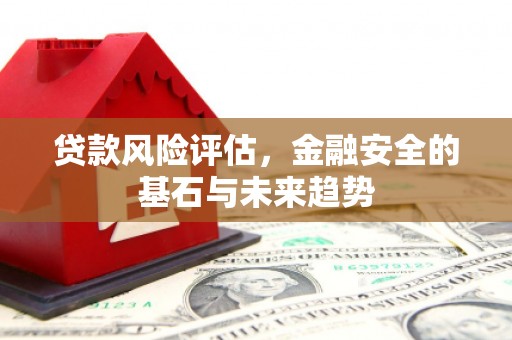 临翔贷款风险评估，金融安全的基石与未来趋势
