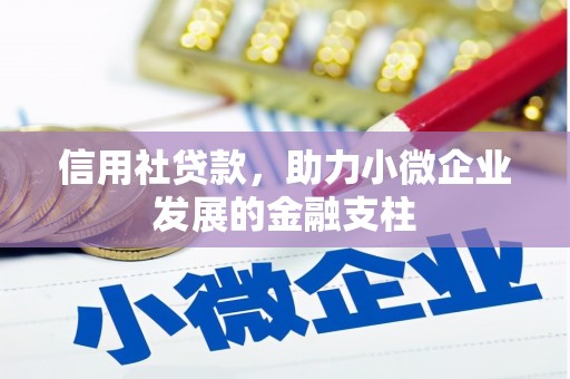 临翔信用社贷款，助力小微企业发展的金融支柱