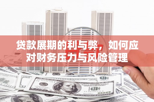 临翔贷款展期的利与弊，如何应对财务压力与风险管理