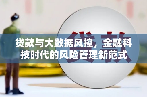 临翔贷款与大数据风控，金融科技时代的风险管理新范式