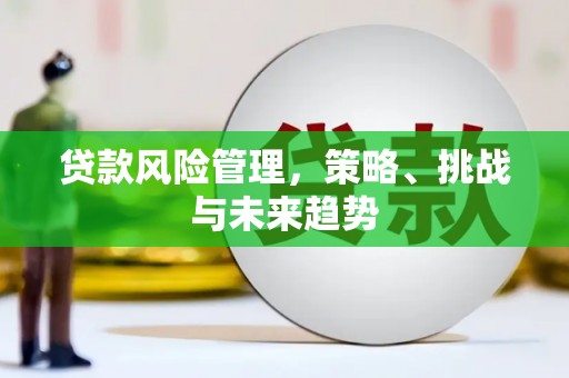 临翔贷款风险管理，策略、挑战与未来趋势