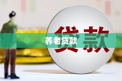 临翔养老贷款