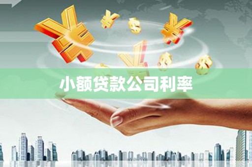 临翔小额贷款公司利率