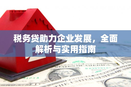 临翔税务贷助力企业发展，全面解析与实用指南