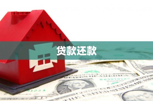 临翔贷款还款