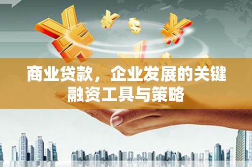 临翔商业贷款，企业发展的关键融资工具与策略