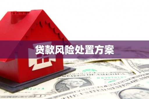 临翔贷款风险处置方案