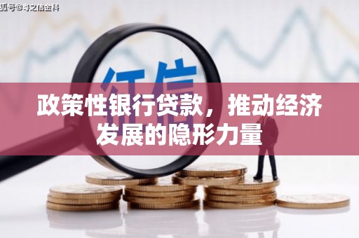 临翔政策性银行贷款，推动经济发展的隐形力量