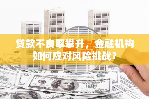 临翔贷款不良率攀升，金融机构如何应对风险挑战？