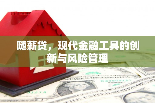 临翔随薪贷，现代金融工具的创新与风险管理
