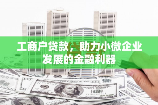 临翔工商户贷款，助力小微企业发展的金融利器
