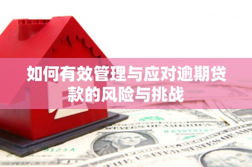 临翔如何有效管理与应对逾期贷款的风险与挑战