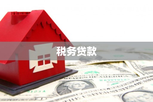 临翔税务贷款