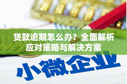 临翔贷款逾期怎么办？全面解析应对策略与解决方案