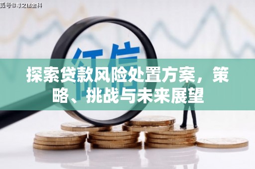 临翔探索贷款风险处置方案，策略、挑战与未来展望