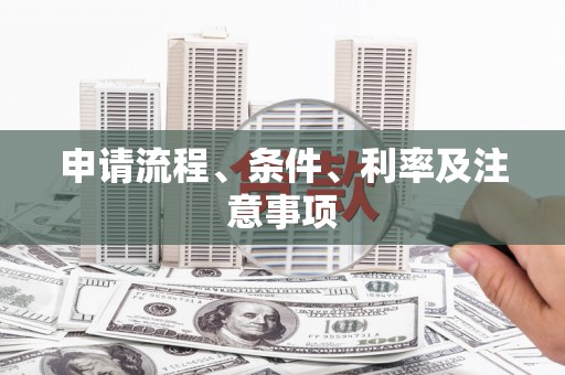 临翔申请流程、条件、利率及注意事项