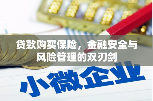 临翔贷款购买保险，金融安全与风险管理的双刃剑