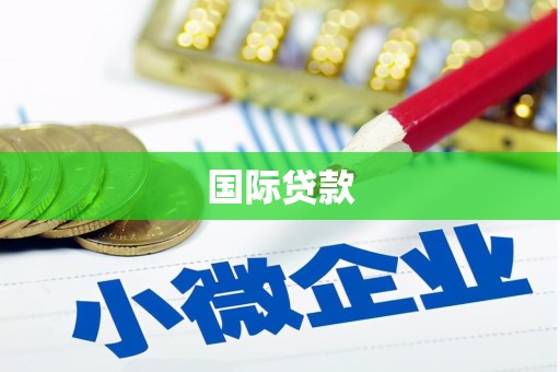 临翔国际贷款